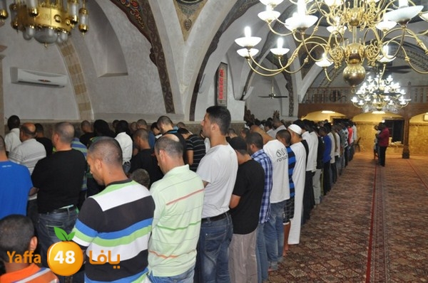 trawe7 mahmodiya 713 (12).JPG